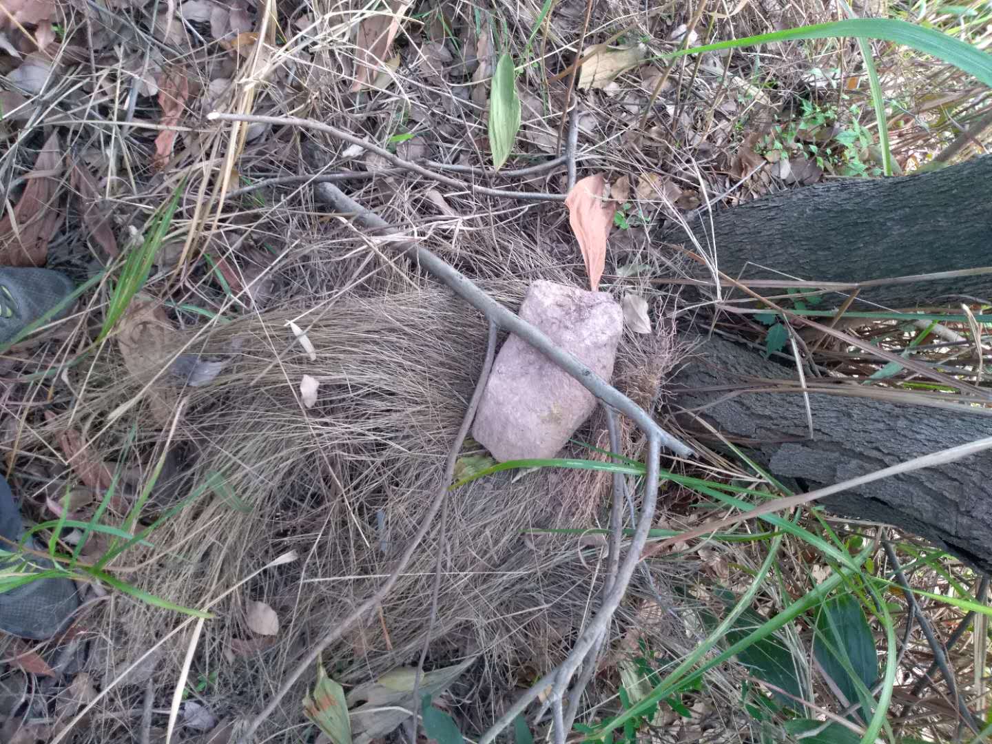 ΢ͼƬ_20180405211210.jpg