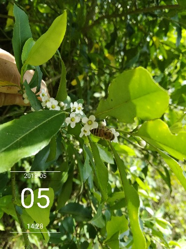 IMG_20180505_142806.jpg