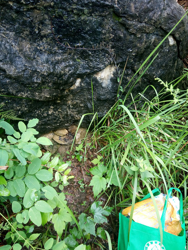 ۷ƬIMG_20180602_154211.jpg