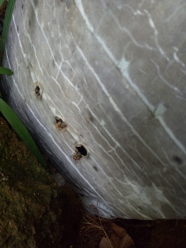 IMG20180608111853.jpg