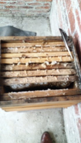20180609_161246.jpg