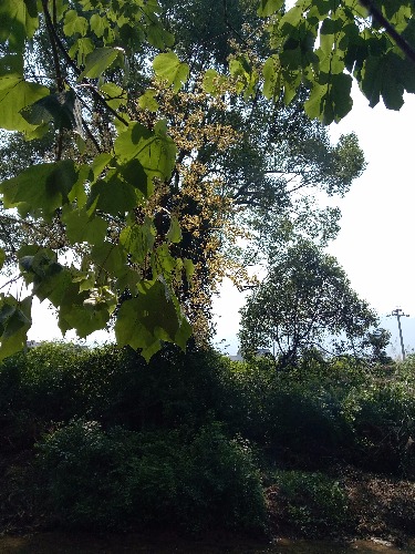 IMG20180617095237.jpg