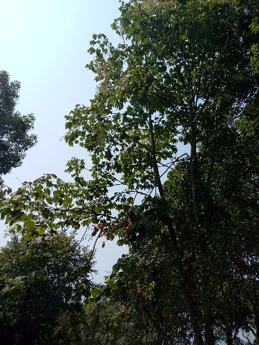 IMG20180617095204.jpg