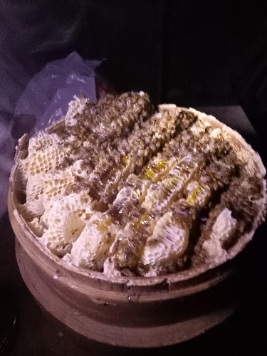 IMG20180805193002.jpg