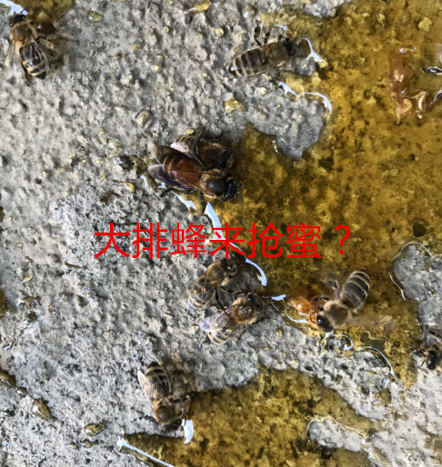 QQͼ20181101213625.png