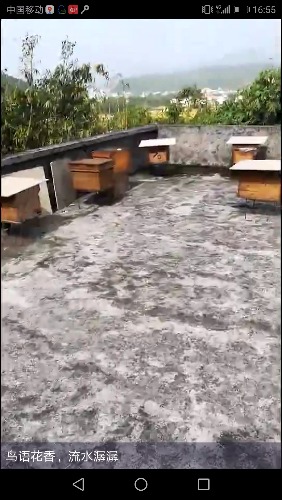Screenshot_20181105-165544.jpg