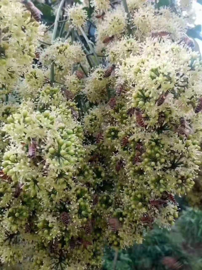 ΢ͼƬ_20200108001139.jpg