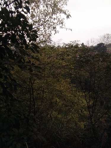 IMG_20200202_131256.jpg