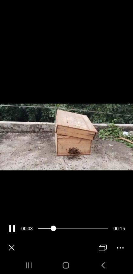 过箱后
