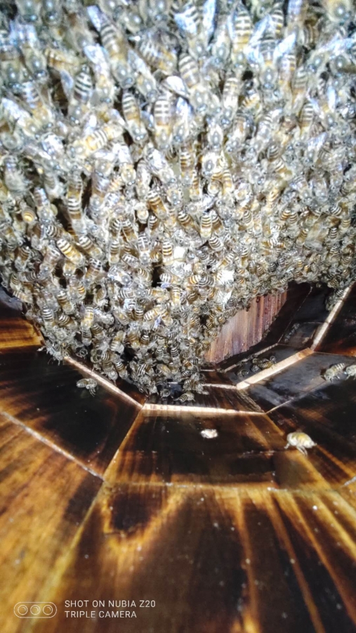 ΢ͼƬ_20200318091815.jpg