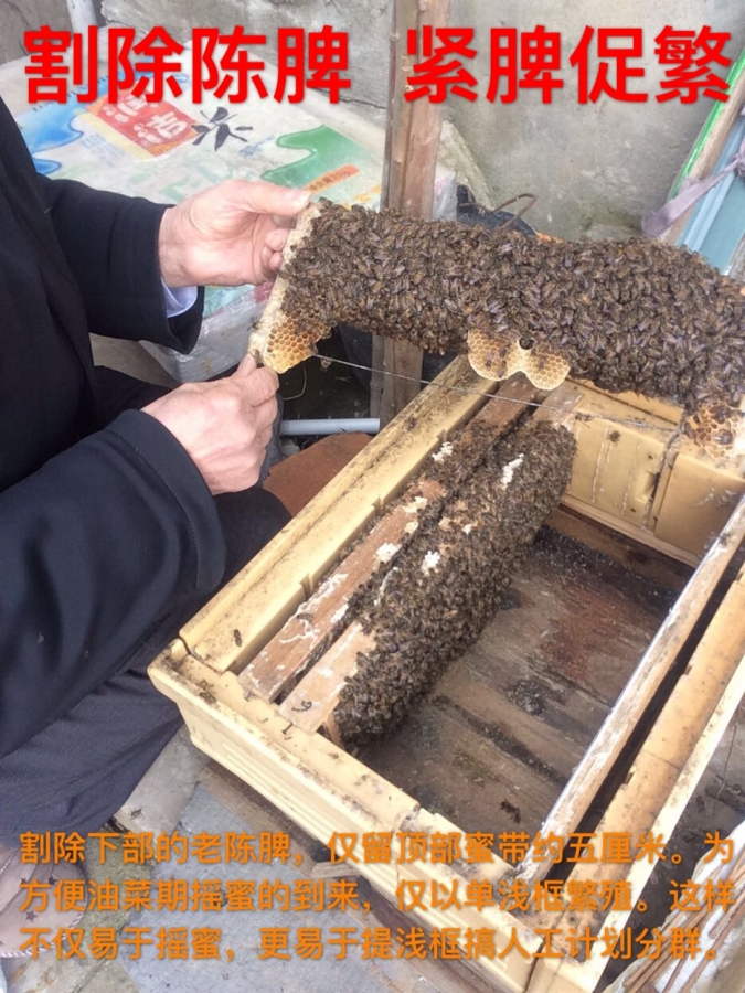 E05429D1-B0F8-4899-ADB3-C2B9898055E9.jpeg