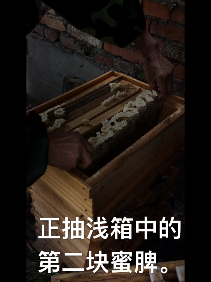 8E61B777-F2C4-4C44-B468-60408B17D70E.jpeg
