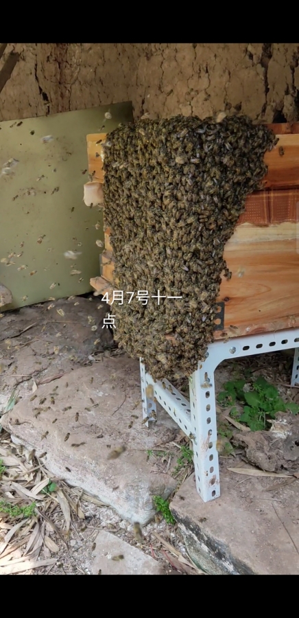 ΢ͼƬ_20200416152251.jpg