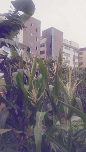 IMG20200502073653.jpg