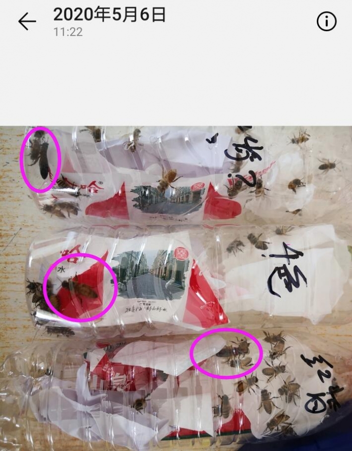 QQ截图20200507101705.jpg