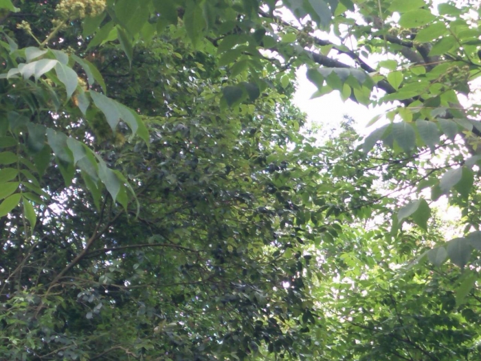 QQͼƬ20200510202716.jpg