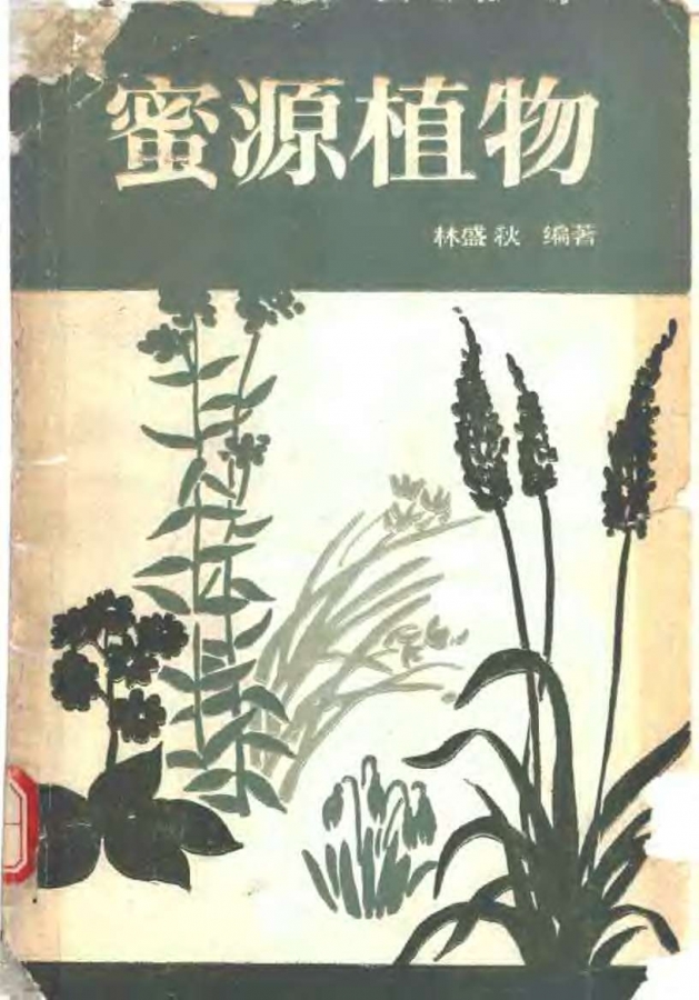 cov001.jpg