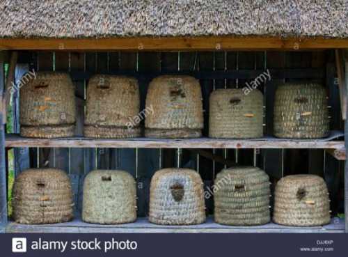 bee-hives-beehives-skeps-for-honeybees-in-rustic-shelter-of-apiary-DJJ6XP.jpg.cf.jpg