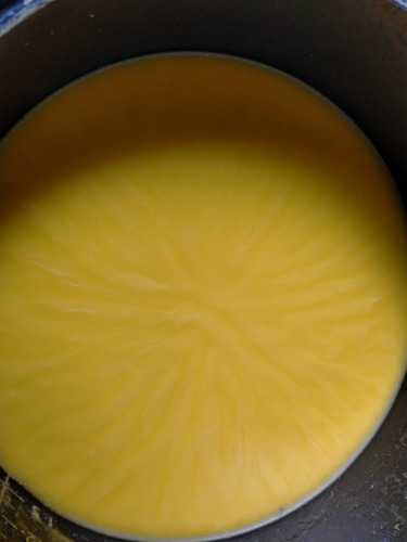 IMG20200811091136.jpg