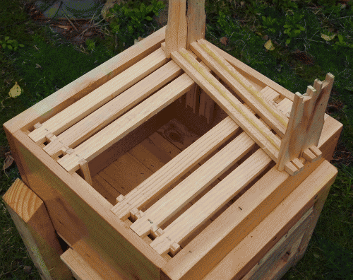 IMG_2375.GIF