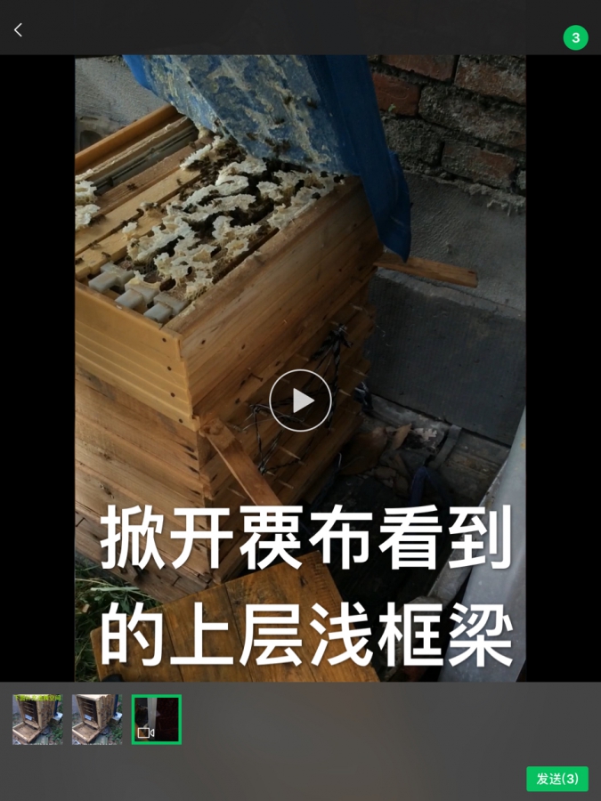 5C8F82AA-3A37-42EF-82AC-16507F4E1311.jpeg