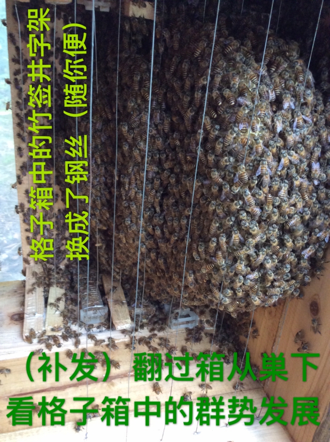 927BD14F-AB45-4DD4-9AD3-03F030122B42.jpeg