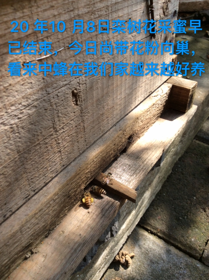 2CE37BC9-055A-4352-8567-75573E86889A.jpeg