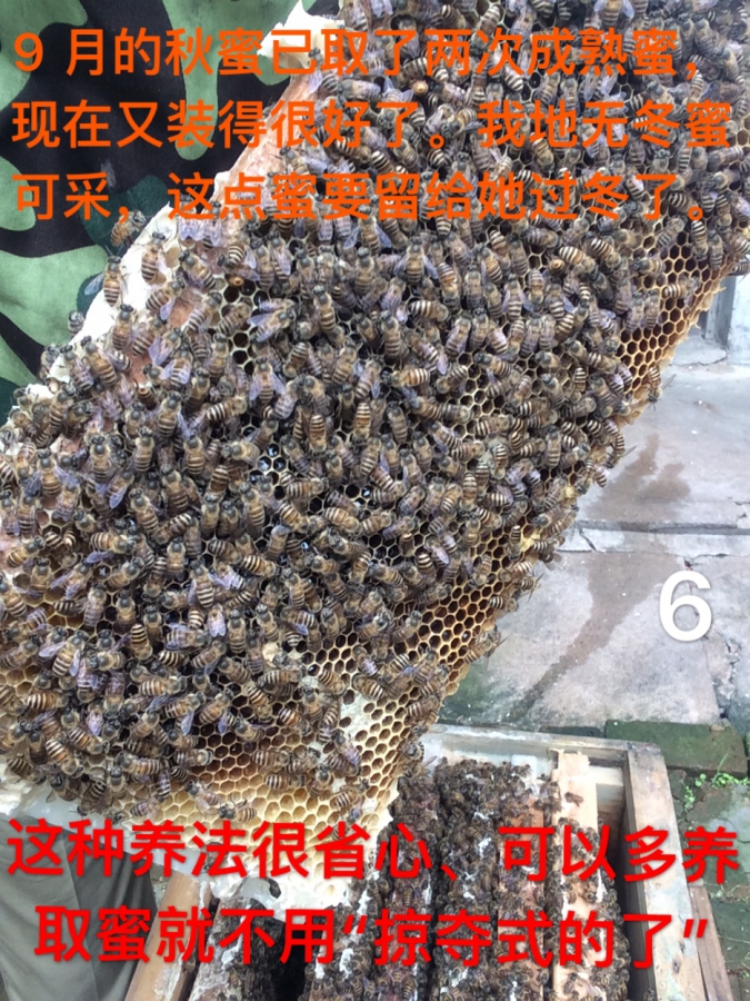 24936740-D7D5-4C36-97D9-F28913BDF825.jpeg