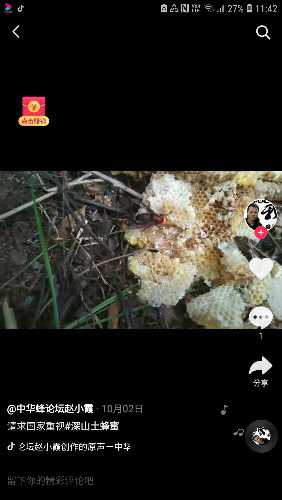 Screenshot_20201013-114248.jpg