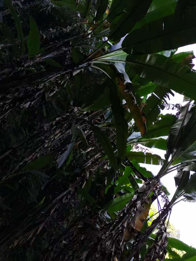΢ͼƬ_20201116100116.jpg