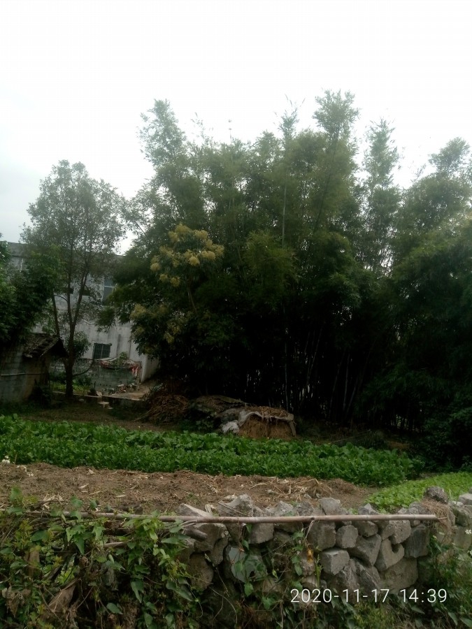 P01117-143930.jpg