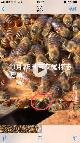 5203CF86-09EF-4EFF-80A3-3F4A2157696F.jpeg