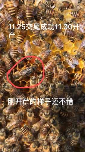 60B21CBD-2800-4F56-B711-AC6710F55300.jpeg