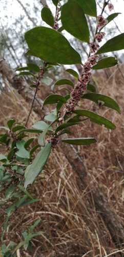 wx_camera_1612924357375.jpg