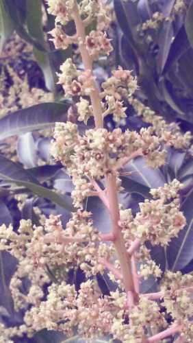 IMG20210228072726.jpg