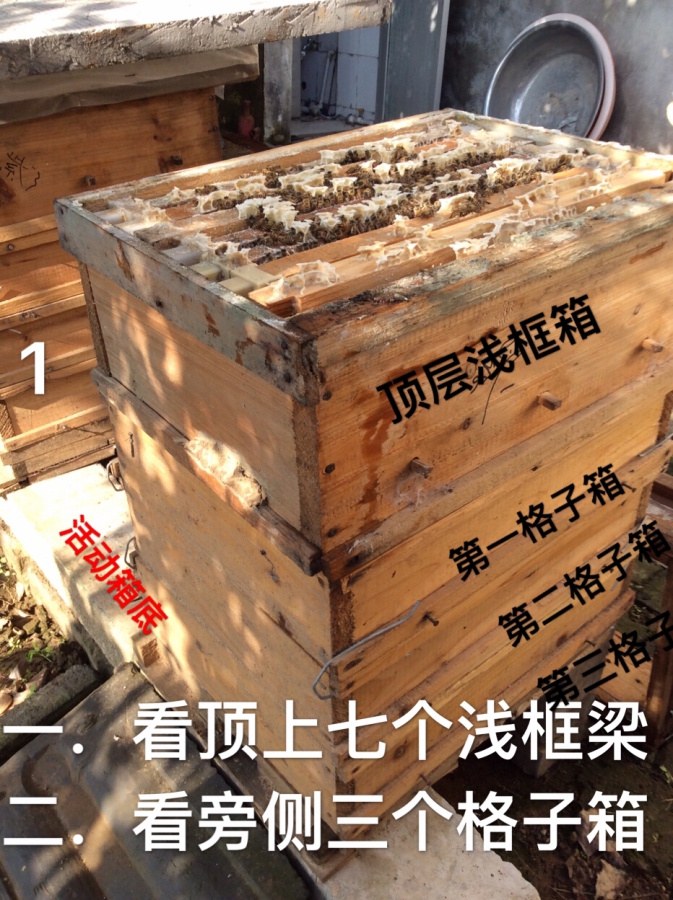 EA8255D2-04A0-49F4-A6A8-E13AD709771A.jpeg