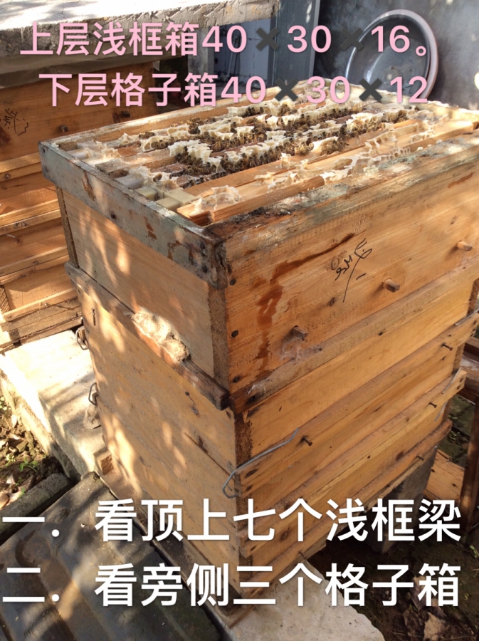 E345A49E-C893-4C7F-8378-D99ADC0091AA.jpeg