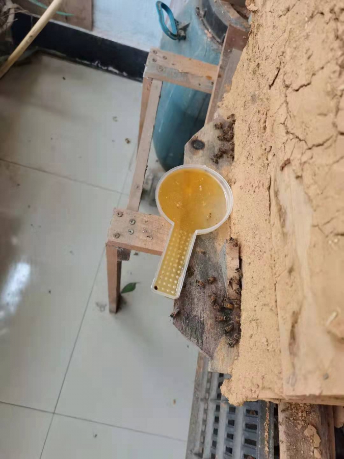 ΢ͼƬ_20210402155548.jpg
