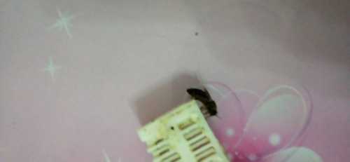 IMG20210421205755.jpg