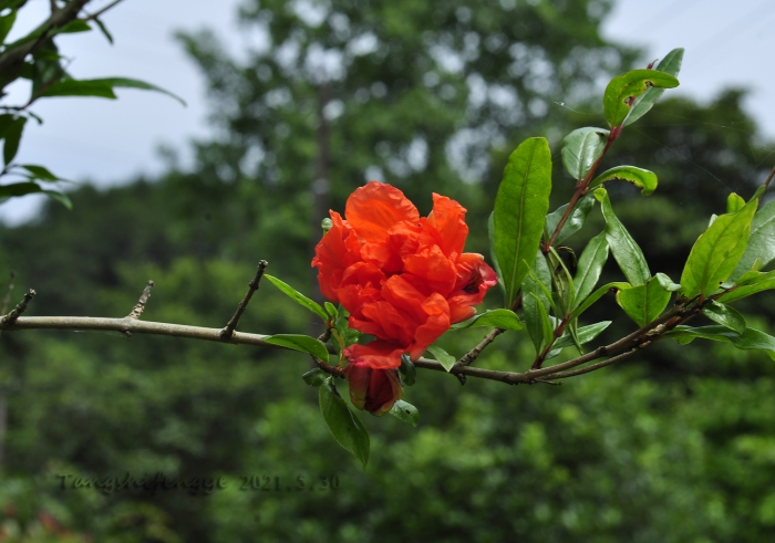 _DSC0028.jpg