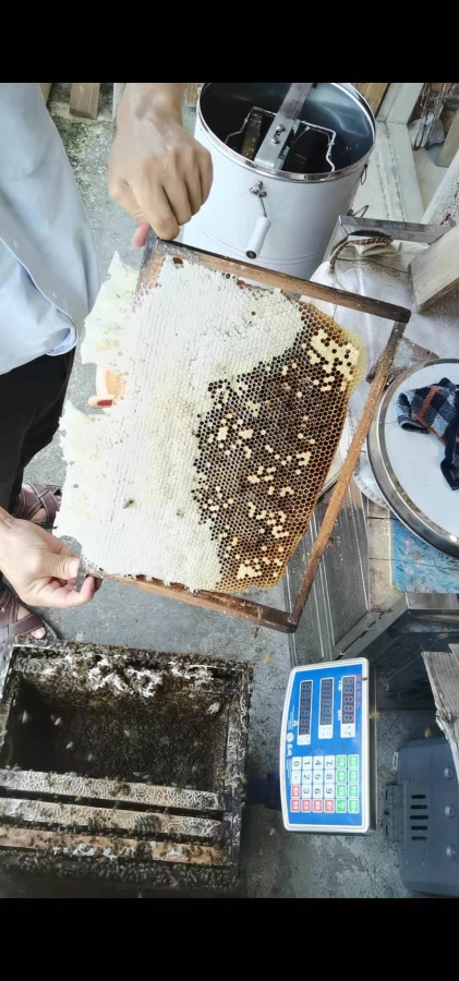 ΢ͼƬ_20210619234957.jpg
