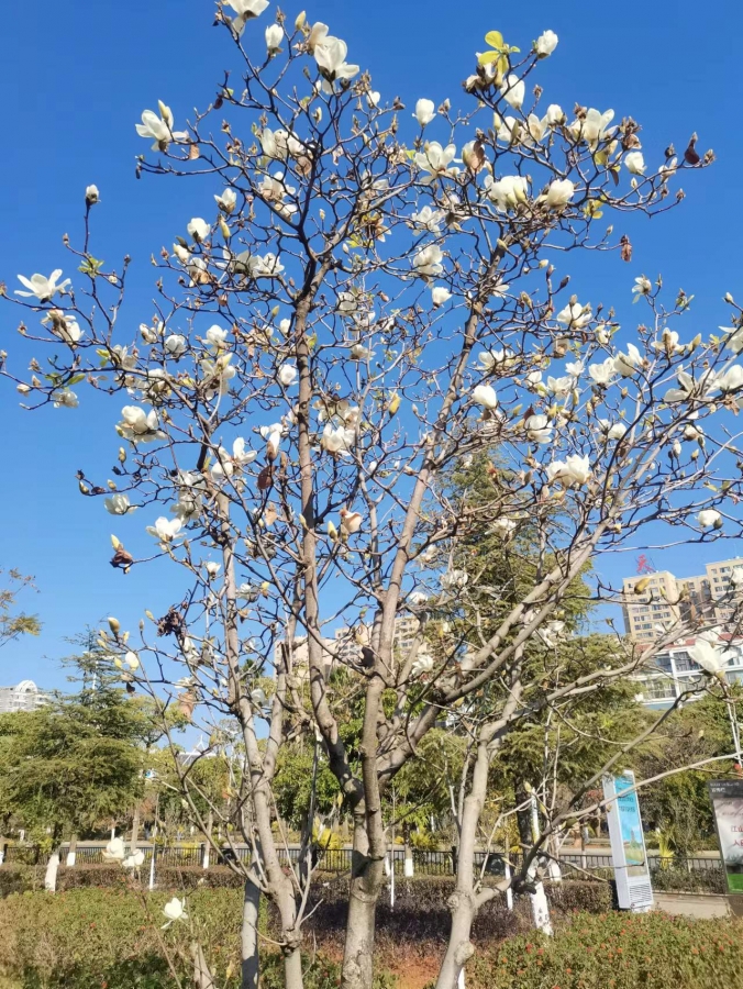 ΢ͼƬ_20230117155849.jpg