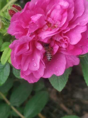 IMG_20230429_113944.jpg