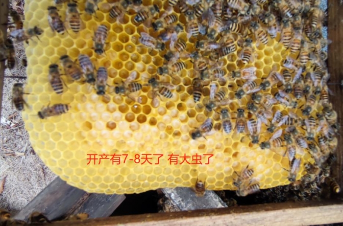 ΢Žͼ_20230512163249.jpg