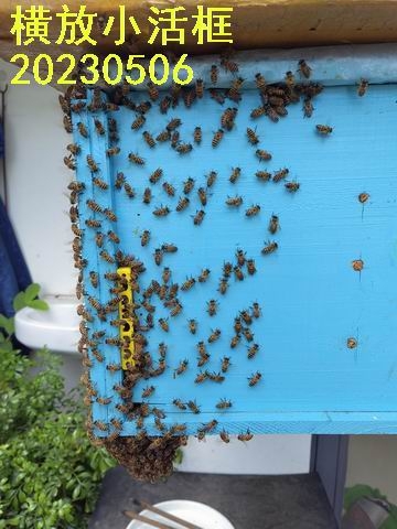 -IMG_20230506_163617.jpg