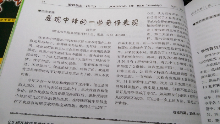 IMAG00101.jpg