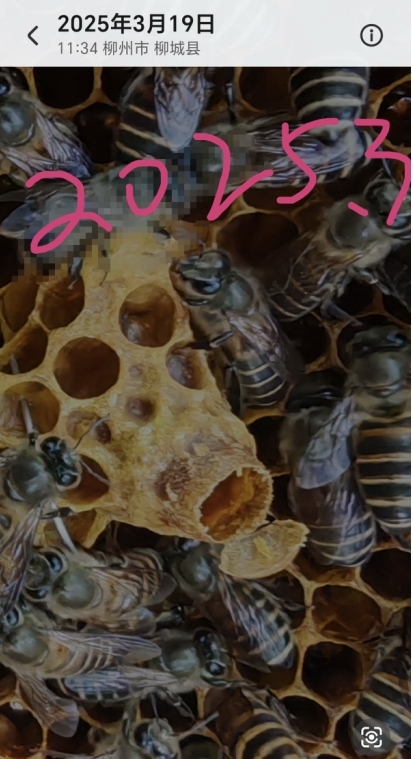 ΢Žͼ_20250321101151.jpg