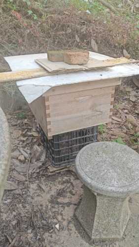 wx_camera_1742860346956.jpg