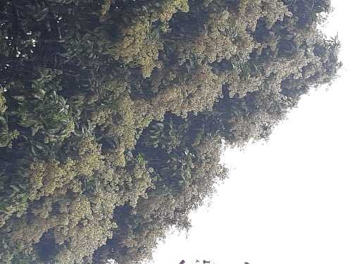 20250405_104001.jpg