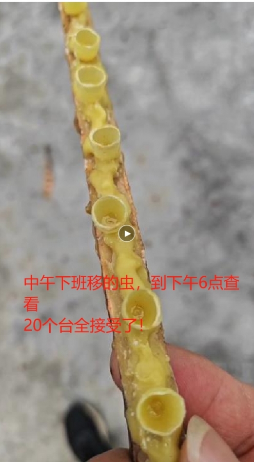 ΢Žͼ_20250515091344.jpg